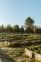 -69032237_4J0A0813-2_1702926141369.jpg