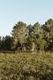 -69032237_4J0A0844-2_1702926141376.jpg