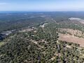 -69032485_DJI_0101_1711811851282.jpg