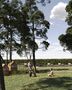 -69033340_037PLAYGROUND_Post_1713346220257.jpg