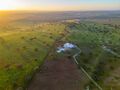 -69033721_DJI_0247_1715357212393.jpg