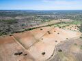 -69035160_DJI_0114_1732459525670.jpg