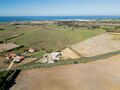 -69035166_DJI_0005_1731949360472.jpg