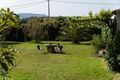 -69037145_julian_marcus_photography-94_1746549133945.jpg