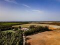 -69037326_DJI_0662_1734613527573.jpg