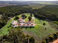 -69037326_DJI_0669_1734613527575.jpg