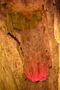 -69037345_CHAMIN_C3_89_20DE_20VENTILA_C3_87_C3_83O_20MINA_202_1705596403451.JPG
