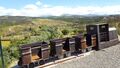 -69037345_ESP_C3_93LIO_20MINEIRO_1705596403461.jpg