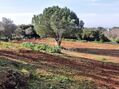 -10193290241_xa4khriarvsbypa6by0gki.jpg