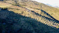 -10204257565_vtnv8zmlp5tm8u0304rhe.jpg