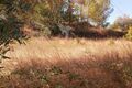 -10221741150_3vvlat5b0rty5vt38yu6s9.jpg