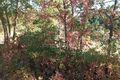 -10221741150_ca1up8v50s7u7kc36k68j.jpg