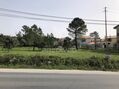 À venda Terreno com 2823m2 Fátima Ourém