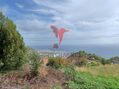 Terreno com 2035m2 Santa Cruz para venda - zona sossegada