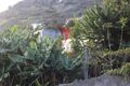 Quinta V3 para venda Arco da Calheta Calheta (Madeira) - regadio, vista mar, excelentes acessos, água, electricidade, árvores de fruto