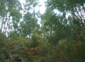 -11165535019_1arss1uwkacldogw9dry58.jpg