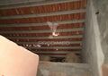 -11191179582_oo7nt7r7wa2nhzdpc2fye.jpg