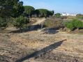 Terreno com 17000m2 à venda Aveiras de Cima Azambuja - água