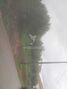 -11946118578_cdg440vq5o683jzuaywipo.jpg
