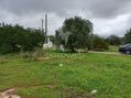 Terreno Rústico com 1800m2 à venda Quelfes Olhão