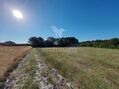 Terreno novo com 14280m2 Aljezur para comprar