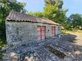 Terreno com 10000m2 à venda Burgães Santo Tirso - árvores de fruto
