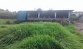 Warehouse with 120sqm for sale Santana - store room, parking lot