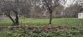 Terreno plano Fátima Ourém para vender