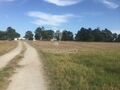 Terreno Urbano com 22000m2 Samora Correia Benavente para venda - laranjeiras, árvores de fruto, bons acessos