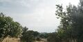 -11994939174_qcxjpmhq4ova4iio7at8e.jpg