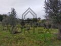-212962494_ID89889a01-0000-0500-0000-0000157de51d.jpg