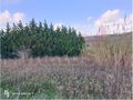-210965454_IDc9ad7701-0000-0500-0000-000012817b13.jpg