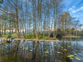 -211590558_ID910a8401-0000-0500-0000-000013fc820e.jpg