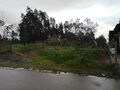 -818031314_ID358e3801-0000-0500-0000-00000daedb62.jpg