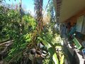 -822875037_IDa6d99801-0000-0500-0000-0000155e794e.jpg