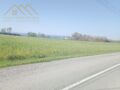 -212968825_IDbcf89401-0000-0500-0000-000015607d04.jpg