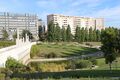 -210156817_ID9cbf6201-0000-0500-0000-000010e7438a.jpg