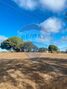 Rental Farm 0 bedrooms Moita - good access, electricity, well, cork oaks