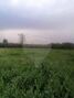 Land Agricultural with 20000sqm for rent Moita - water