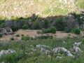 -209674762_ID88fa5a01-0000-0500-0000-00000fe64819.jpg