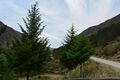 -209977099_ID632e6201-0000-0500-0000-000011925cbf.jpg