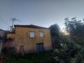 -210185169_ID0b966601-0000-0500-0000-000010f6e1b5.jpg