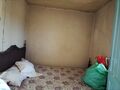 -210231816_ID06e46601-0000-0500-0000-000010eaeed6.jpg