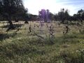 -210341225_IDccc06a01-0000-0500-0000-00001142af7f.jpg