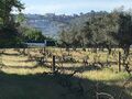 -210341225_IDccc06a01-0000-0500-0000-00001142af84.jpg