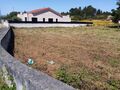 -210513013_ID80ef6d01-0000-0500-0000-0000118dbc68.jpg