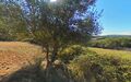 -210670918_IDa2497101-0000-0500-0000-000011ed8642.jpg