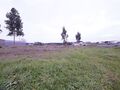 -210909146_IDde7b7601-0000-0500-0000-00001264d2d9.jpg