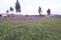-210909146_IDde7b7601-0000-0500-0000-00001264d2da.jpg