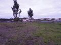 -210909146_IDde7b7601-0000-0500-0000-00001264d2db.jpg